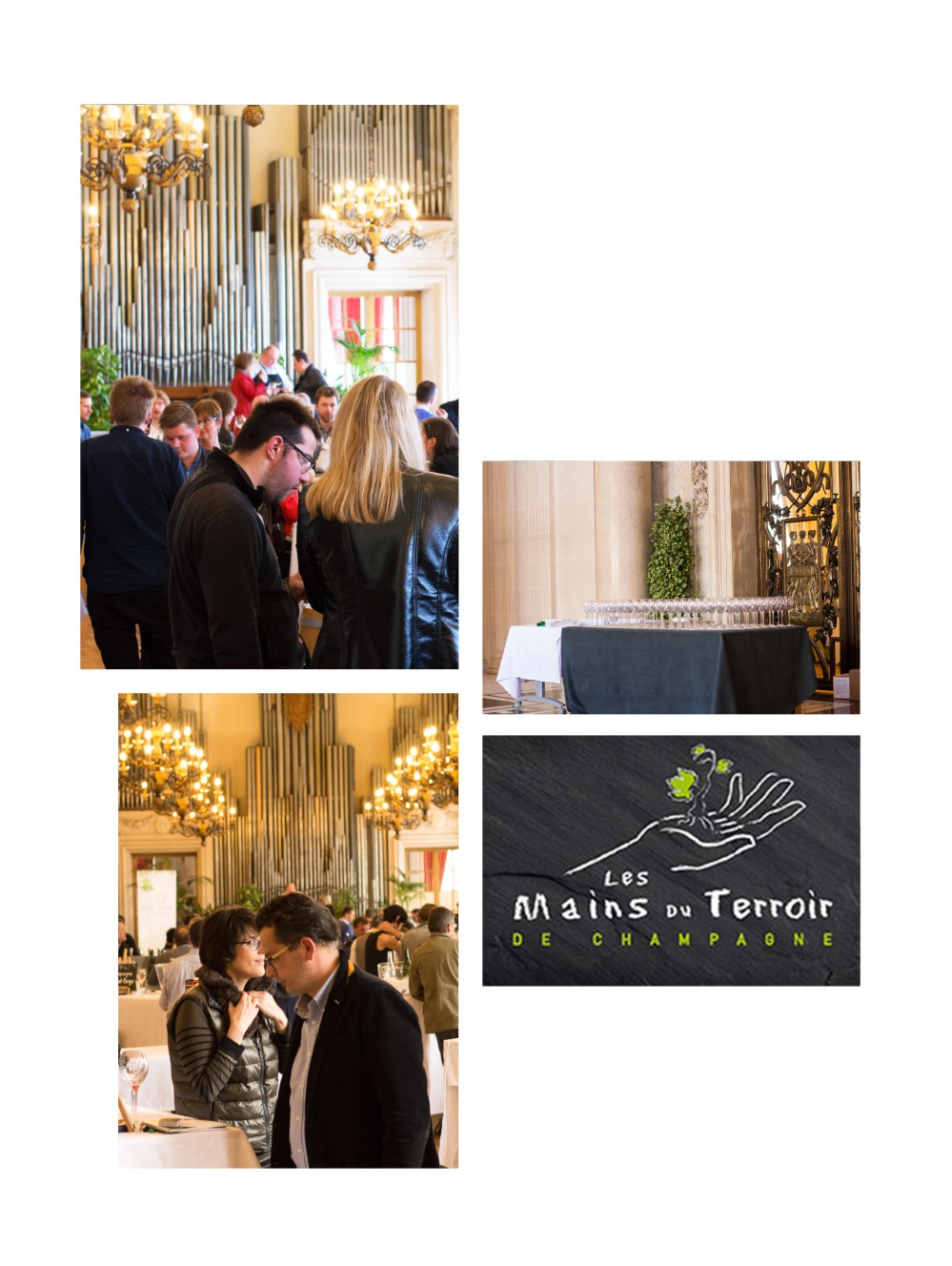 Portraitsdebulles-LesMainsduTerroirTasting