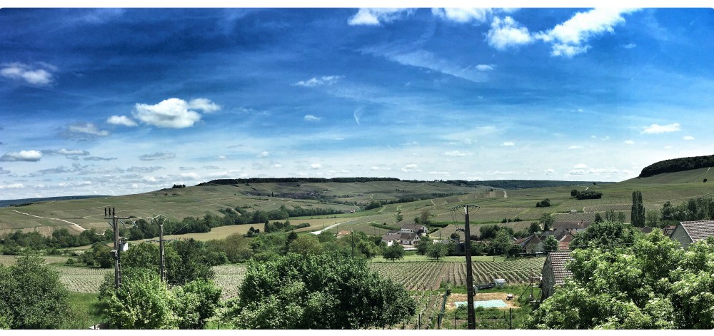 Portraitsdebulles-ChampagneDehours