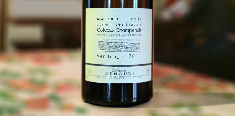 Portraitsdebulles-PortraitdeJeromeDehours-CoteauxLesRieux