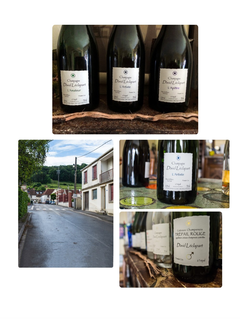 Portraitsdebulles-VisitDavidLeclapart2