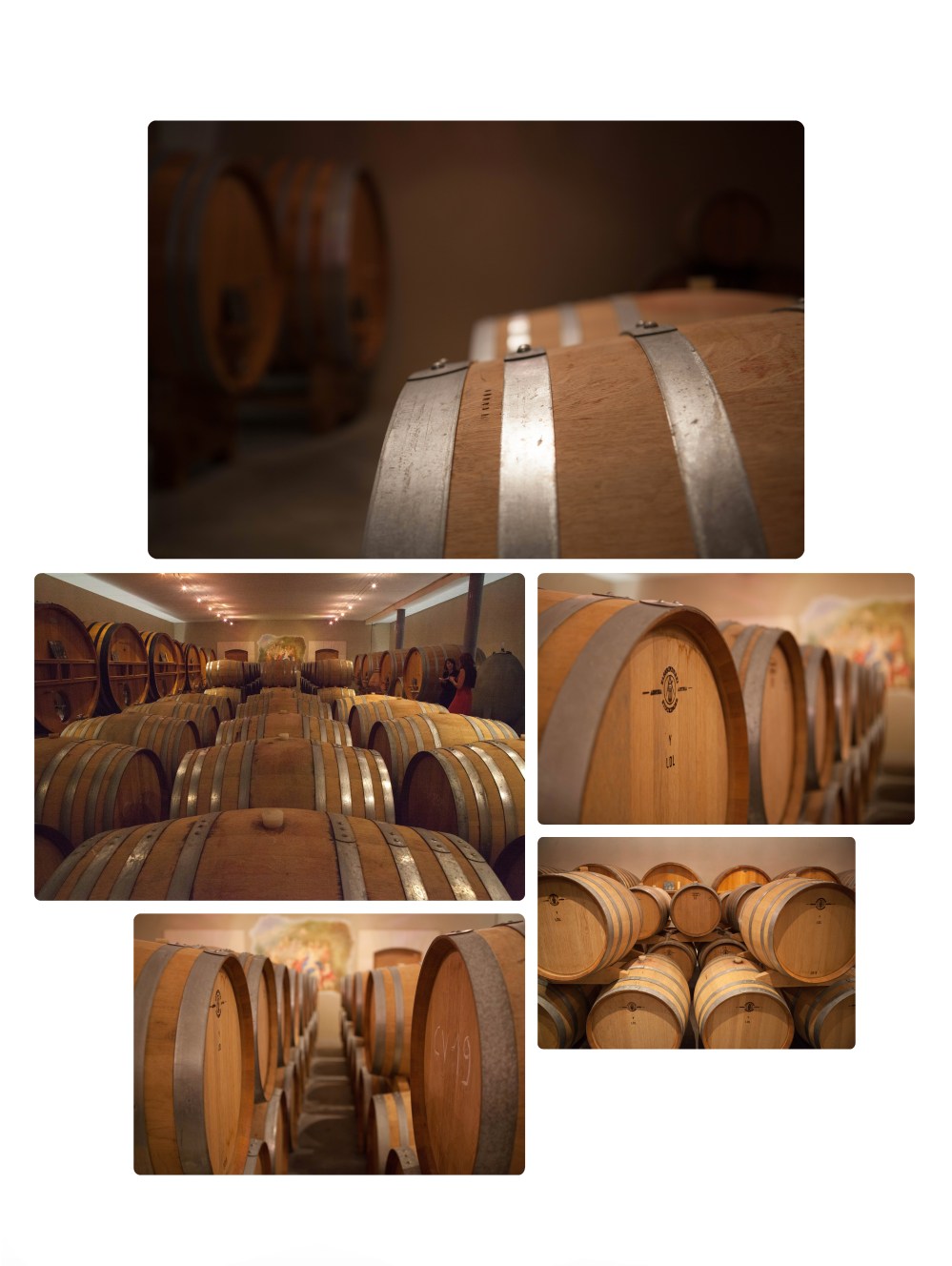 Portraitsdebulles-VisitLarmandierBernier