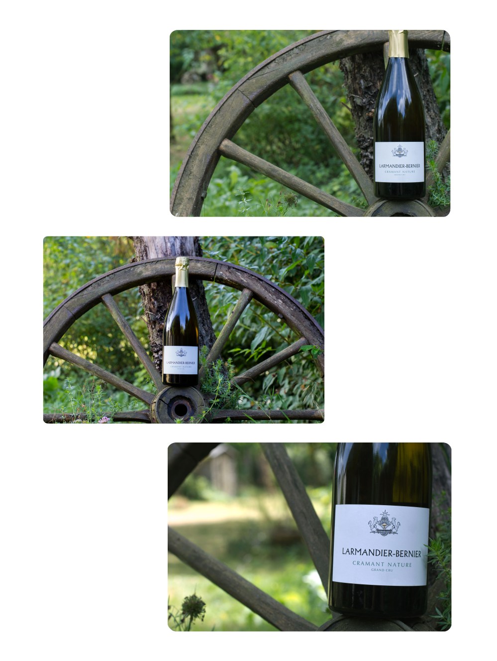 Portraitsdebulles-VisitDavidLeclapart-CramantNature