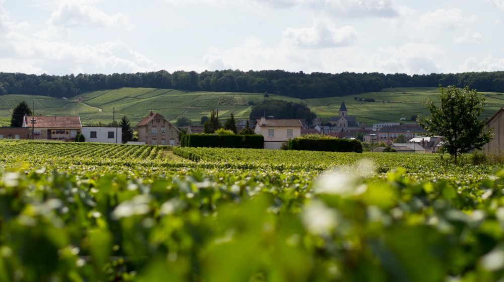 portraitsdebulles-champagneandrerobert