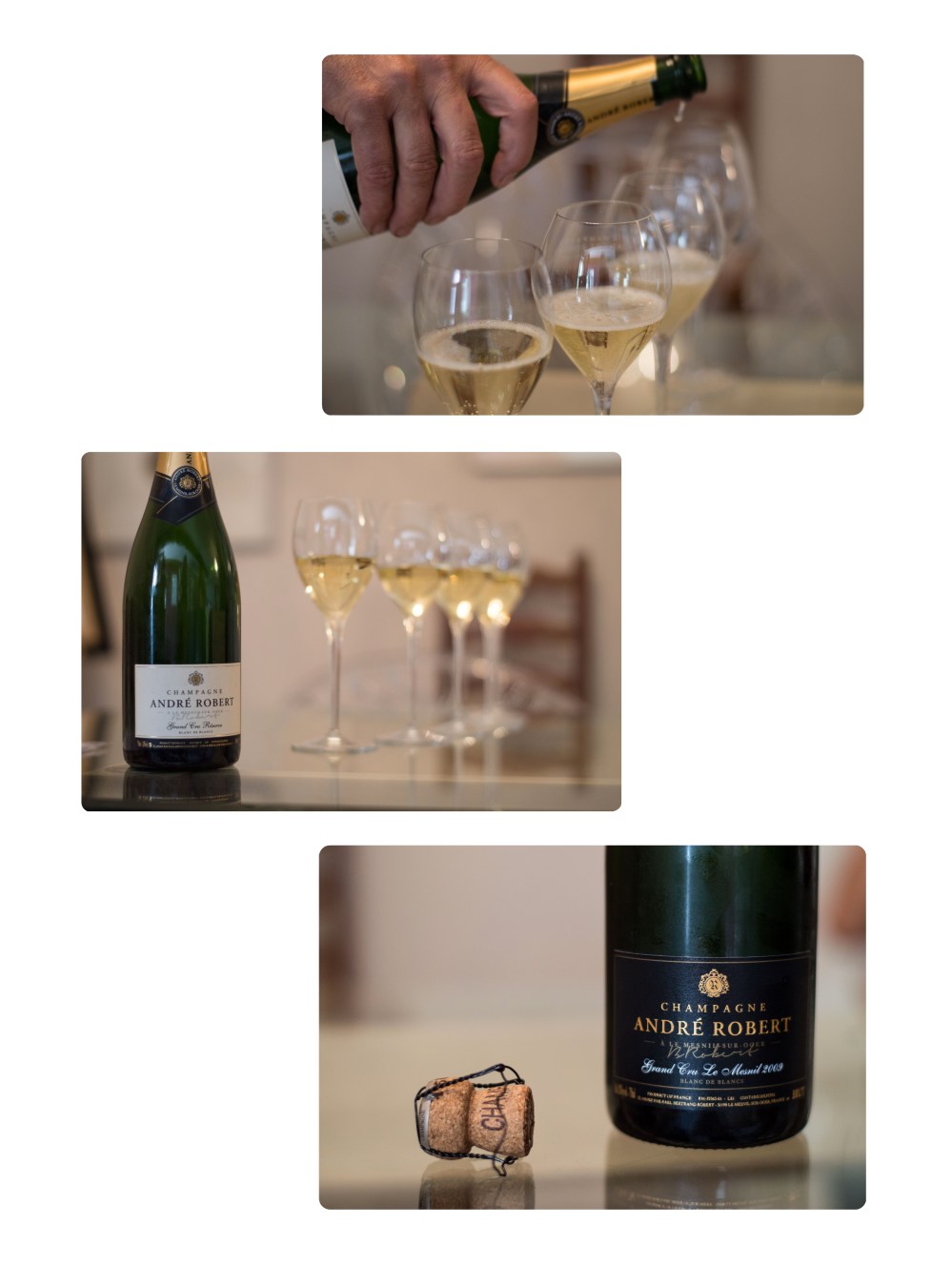 portraitsdebulles-visitandrerobert-tasting