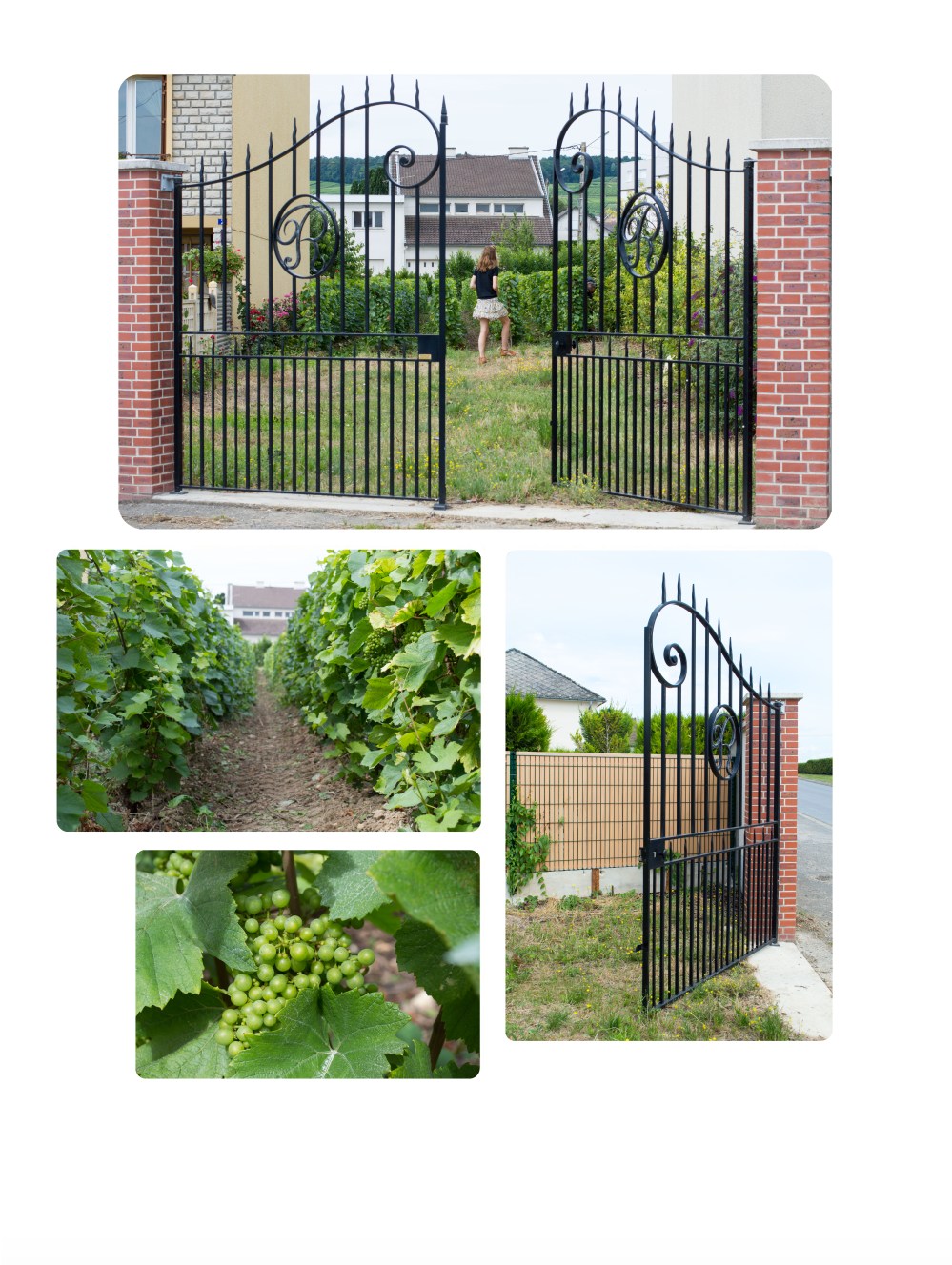 portraitsdebulles-visitandrerobert