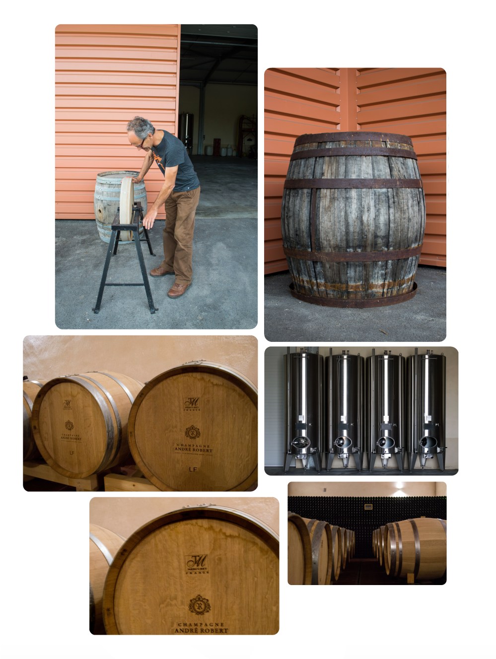 portraitsdebulles-visitandrerobert2