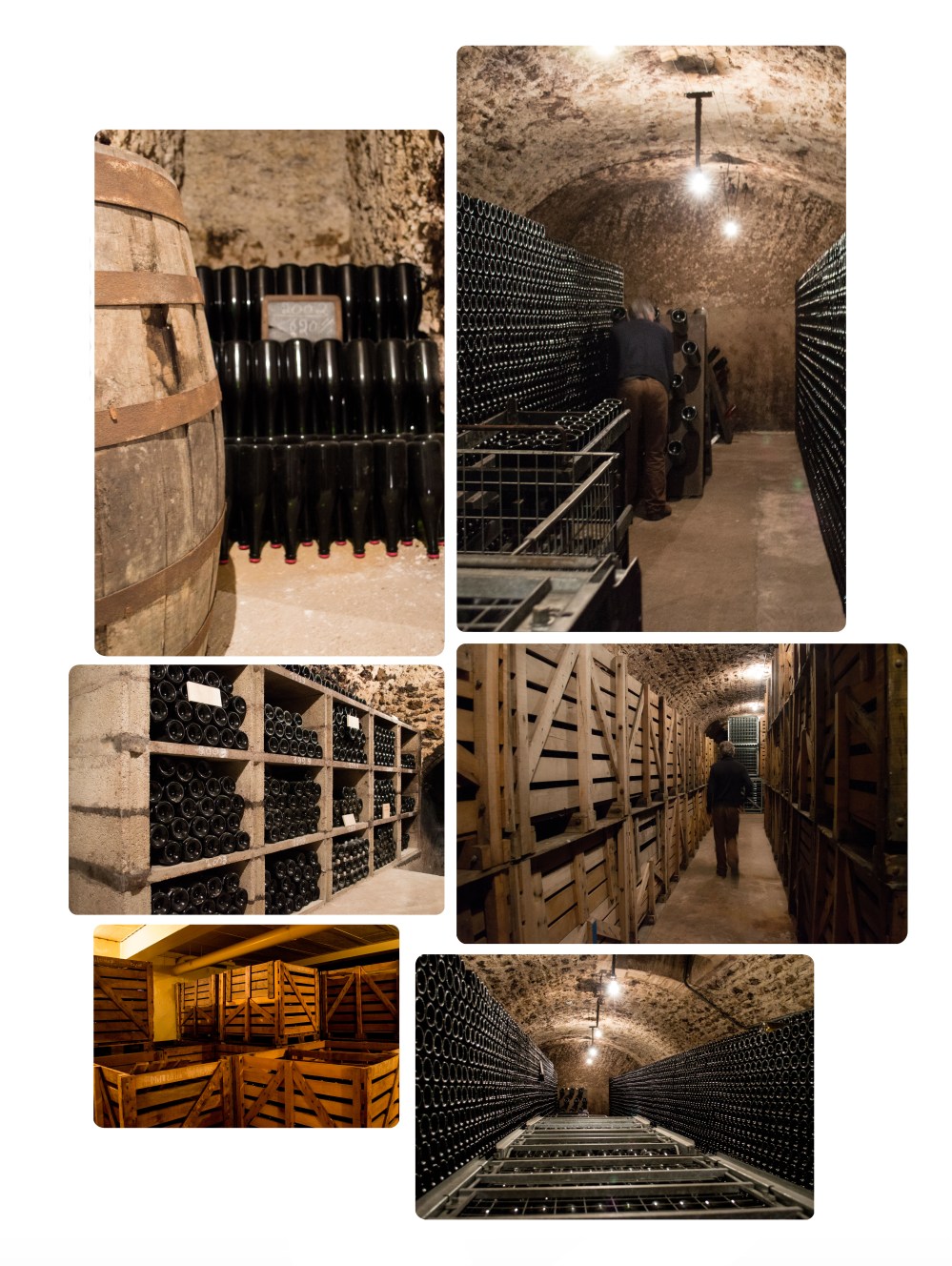 portraitsdebulles-visitandrerobert3