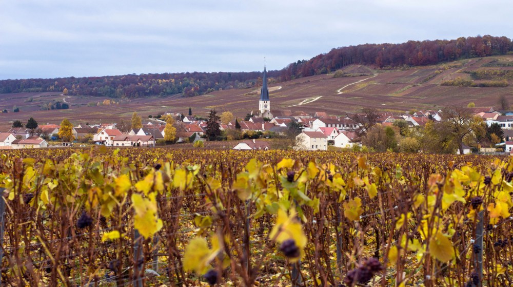 portraitsdebulles-persevalfarge-chamery