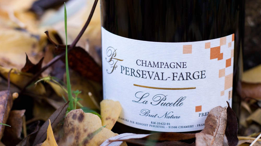 portraitsdebulles-portraitofbenoistandisabellepersevalfarge-lapucelle