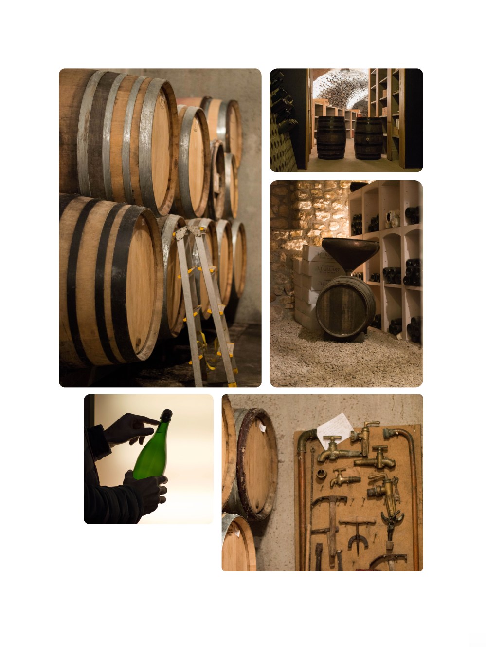 portraitsdebulles-portraitofnicolasmaillart-winemakingprocess