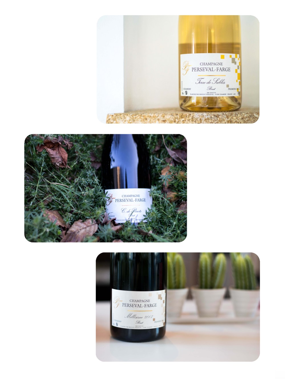 portraitsdebulles-portraitofbenoistandisabellepersevalfarge-tasting