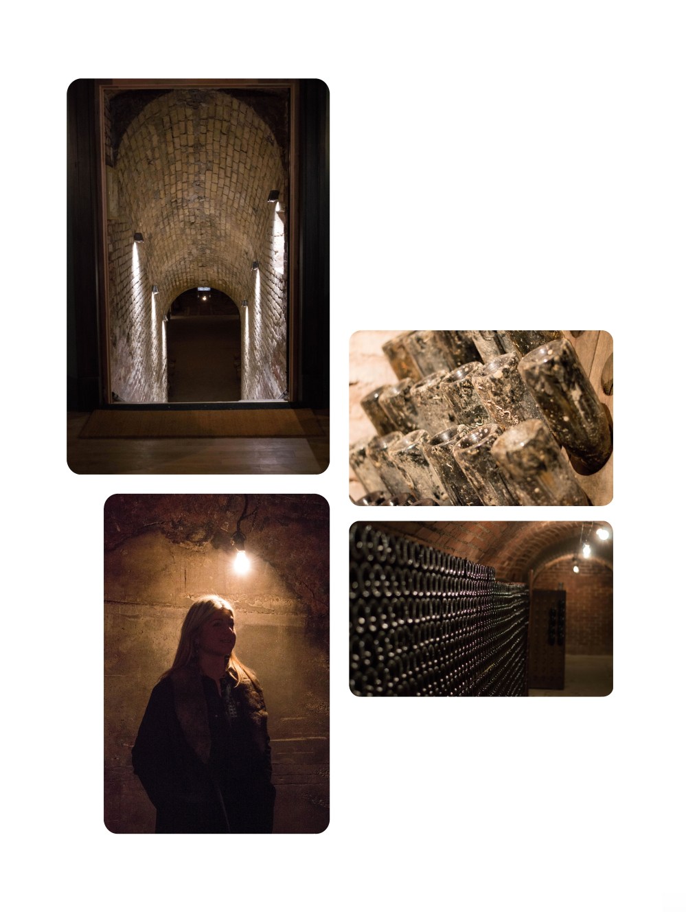 portraitsdebulles-portraitofhervejestin-cellar