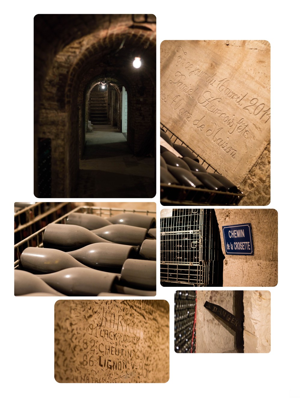 portraitsdebulles-portraitofhervejestin-cellarandhistory