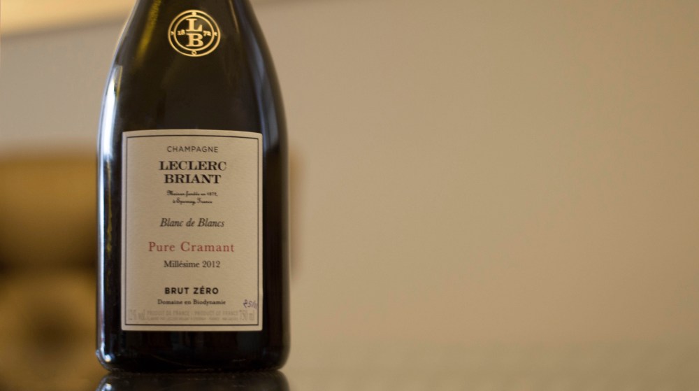 portraitsdebulles-portraitofhervejestin-purecramant