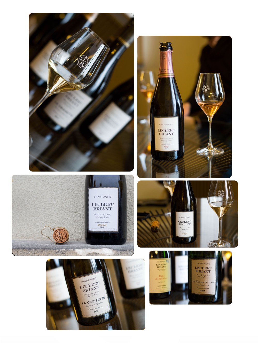 portraitsdebulles-portraitofhervejestin-tasting