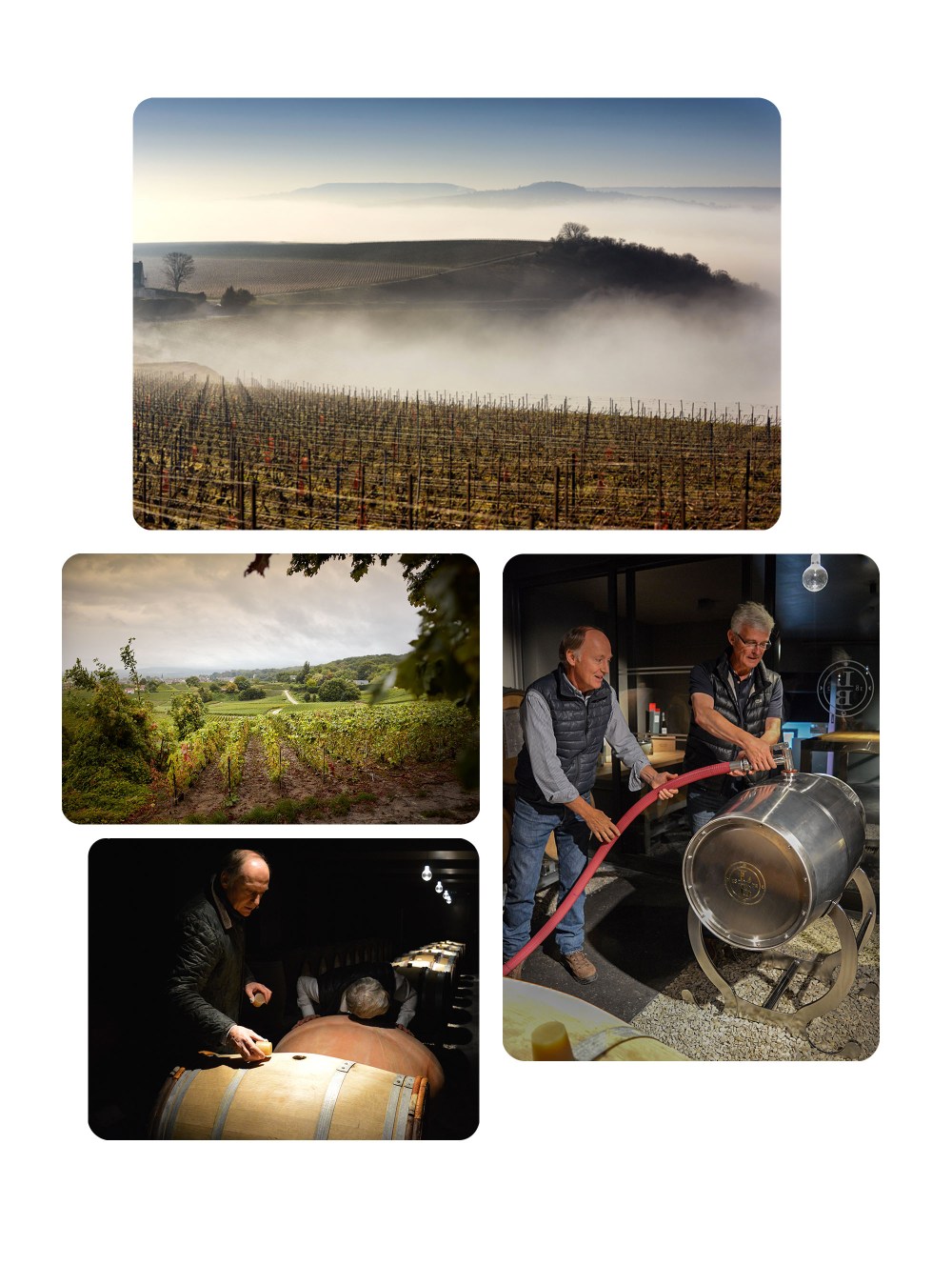 portraitsdebulles-leclercbriant-pastandpresent