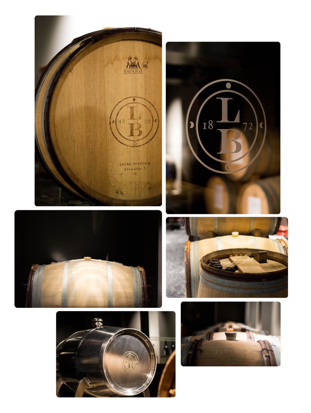 portraitsdebulles-portraitofhervejestin-winemakingprocess2