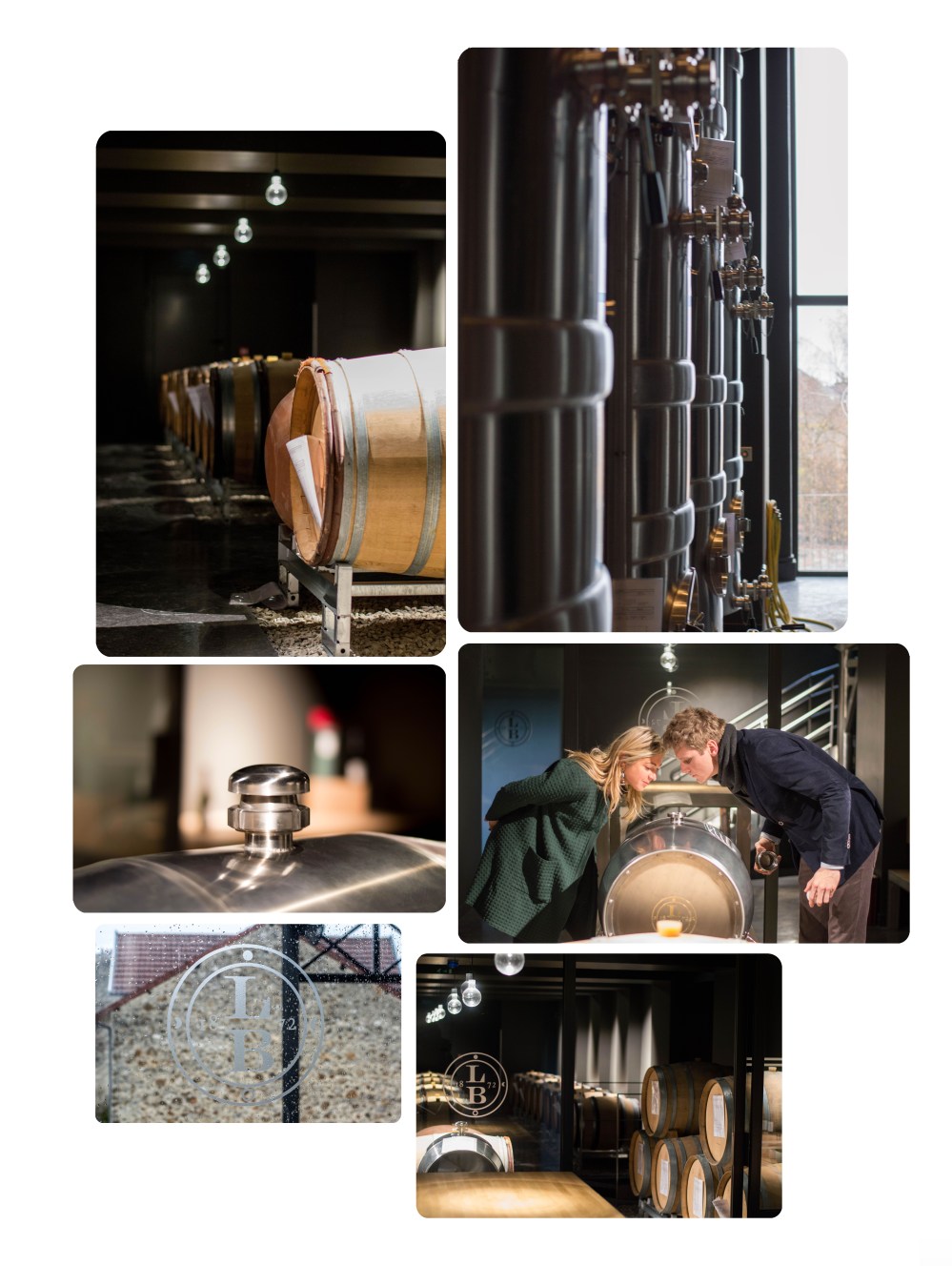 portraitsdebulles-portraitofhervejestin-winemakingprocess3