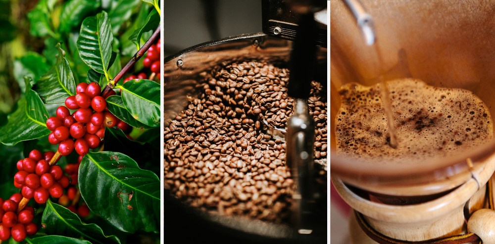 WinePairing-CoffeeandChampagne