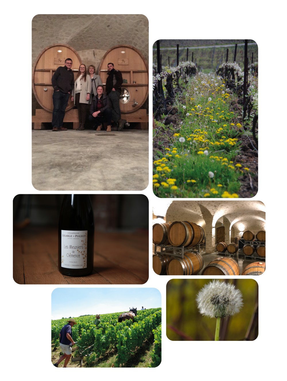 Pairing-ChampagneandCoffee-LelargePugeot