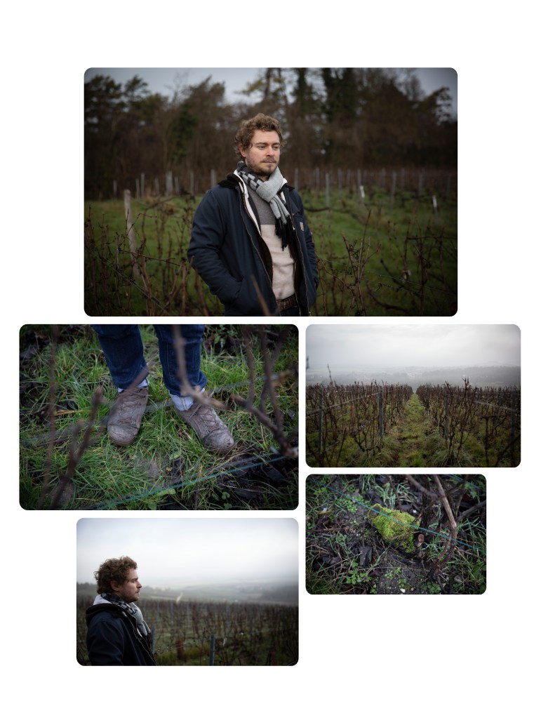 Champagne Leclere Minard History