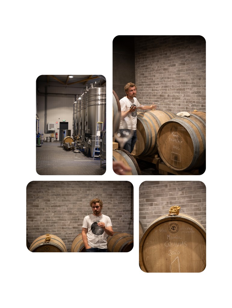 Champagne Clément Leclere Vinification - 2